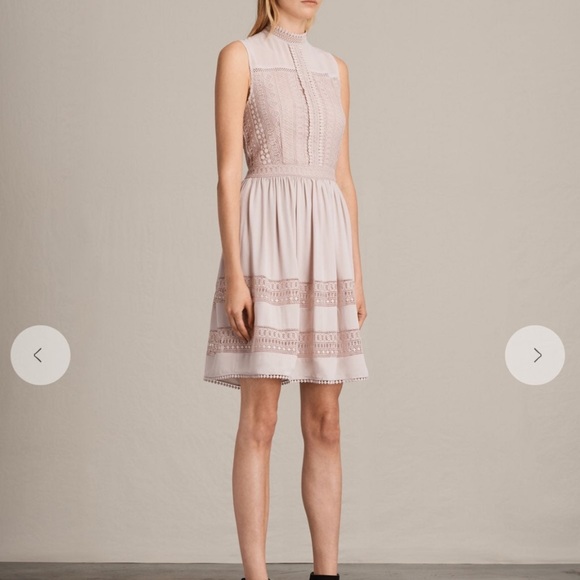 All Saints Rowy Lace Blush Pink Dress - Picture 3 of 10